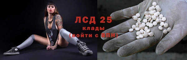 apvp Дмитриев