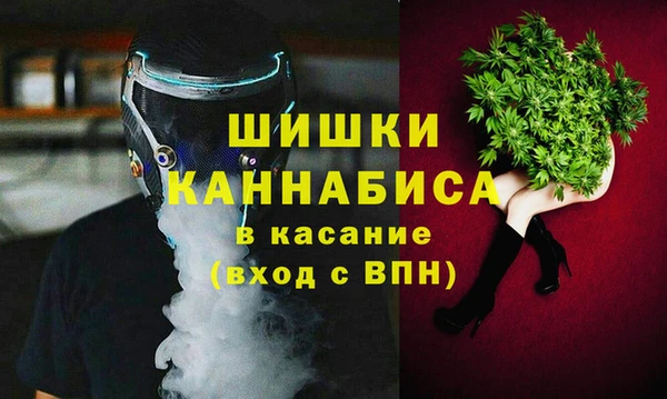 a pvp Новозыбков