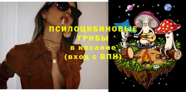прущий лед Шали
