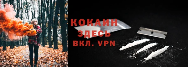 мдпв Чекалин